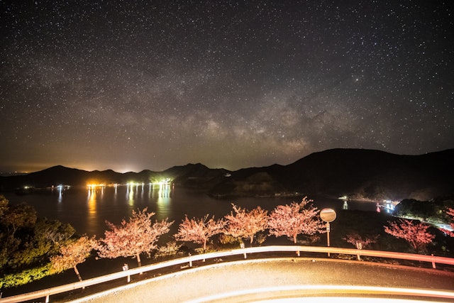 [Image1]Kawazu cherry blossoms and the Milky Way