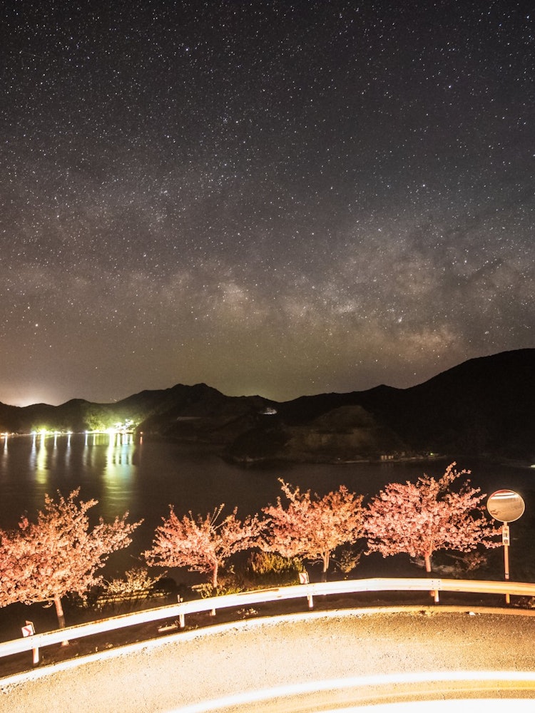 [画像1]河津桜と天の川