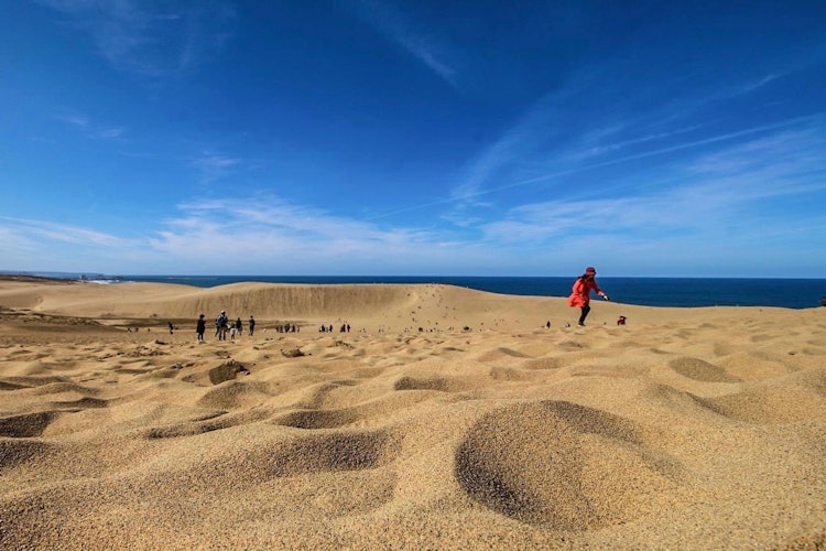 [相片1]南北2.4公里，東西16公里鳥取沙丘。 與大山一起，它是鳥取縣的象徵之一。