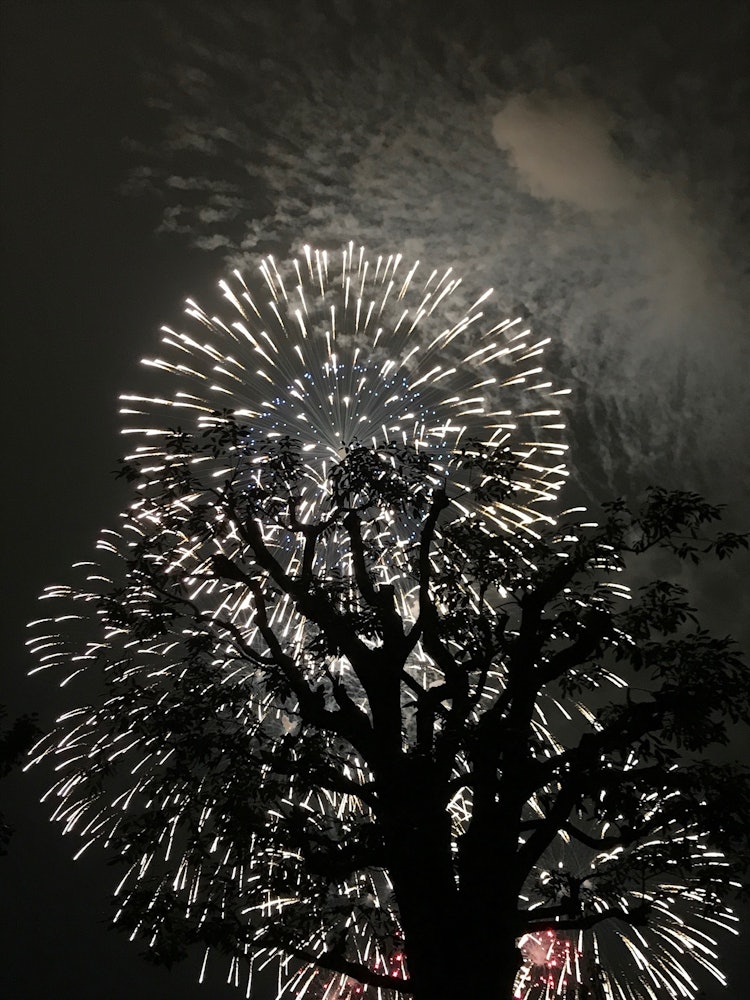 [Image1]fireworks(1)The fireworks festival of Lake Senba two years ago.Due to the new coronavirus, it was no