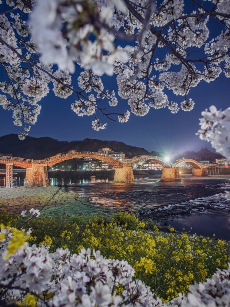 [Image1]Kintai Bridge, Iwakuni, Yamaguchi(Recommended spots in Yamaguchi Prefecture)#Kintai Bridge 👈 @iwakun