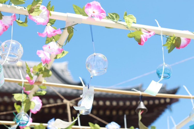 [相片1]2023 年夏天。川崎大師的風鈴市場很長一段時間以來首次舉行。它似乎聽到了風鈴的聲音。