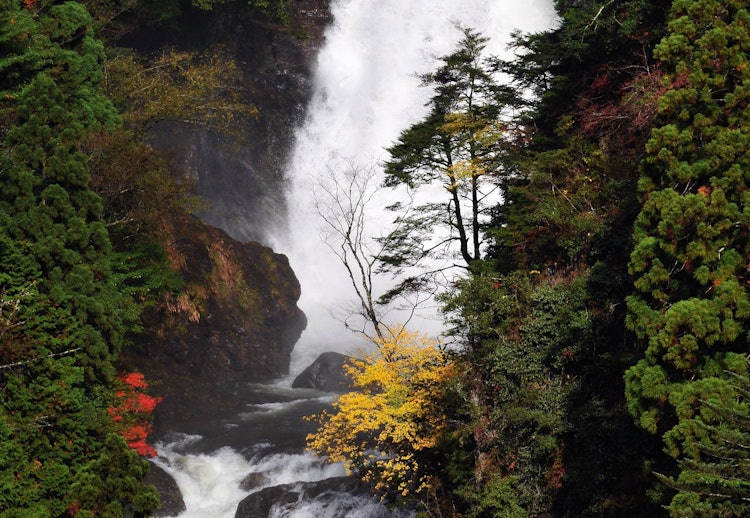 [画像1]奈良県下北山村の不動七重の滝です。 吉野熊野国立公園の特別区域にあり、日本の滝100選の一つに認定されています。 落差は160mあり７段に落ちています。