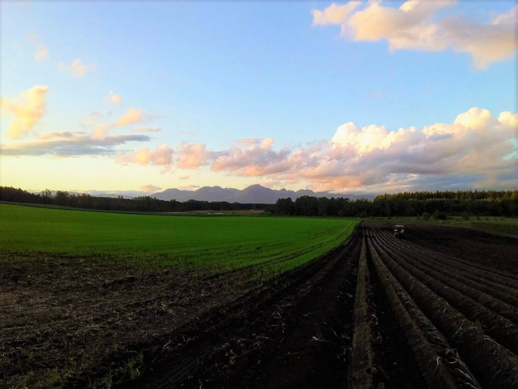 [相片1]北海道中沙山的长茂田这是一个农民的田地，当我还是学生的时候，他兼职照顾我。经过一整天的收割工作，看到这幅风景，我感到神清气爽。 我想在科罗纳平静下来时去见大家。