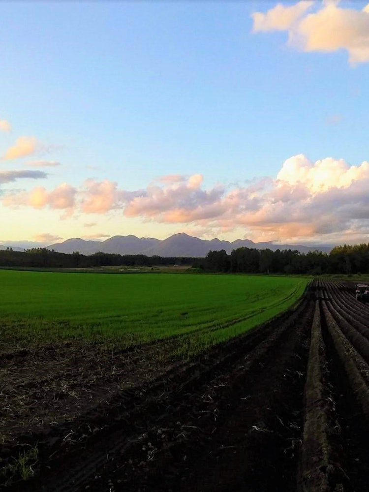 [画像1]北海道中札内の長芋畑学生時代にバイトでお世話になった農家さんの畑です。一日中、収穫作業で泥まみれになったあとこの景色を見ると清々しい気持ちになりました。 コロナが落ち着いたら皆さんに会いに行きたいです