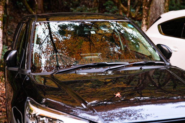 [Image1]Oyada Shrine at MomijidaniThe autumn leaves reflected in my car were also wonderful.