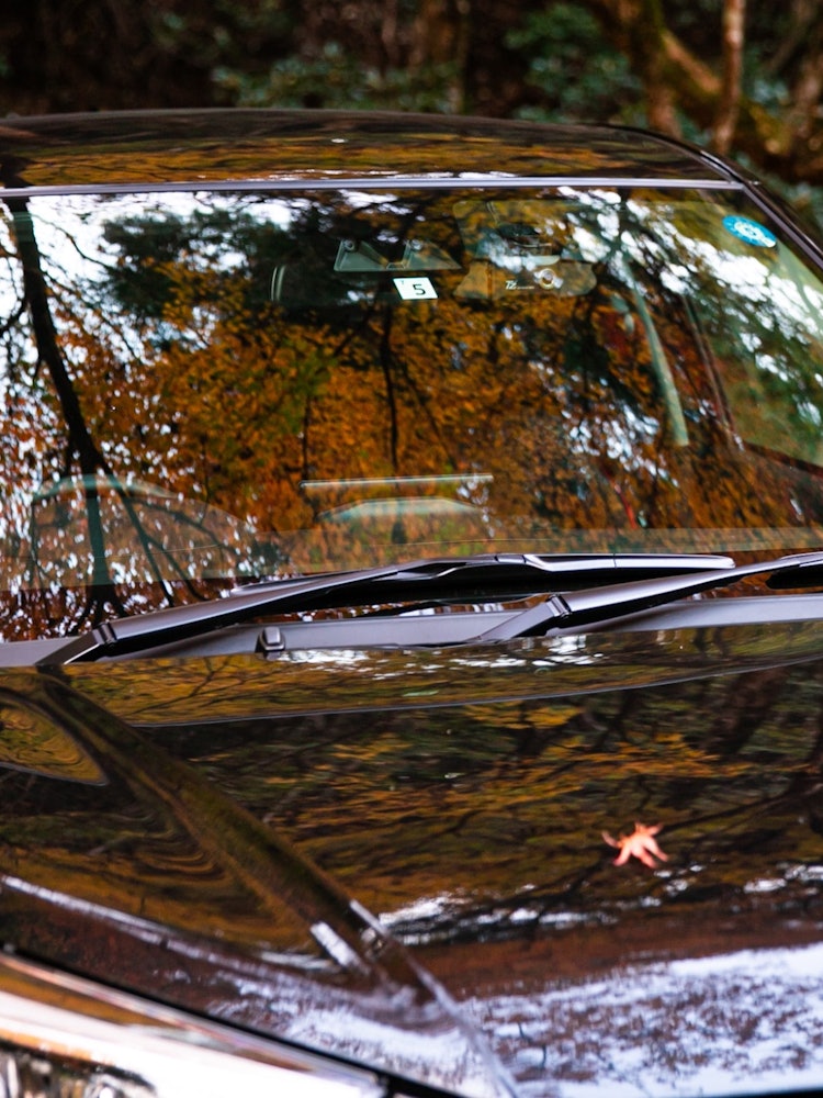 [相片1]紅葉谷的大田神社映在我車上的秋葉也很棒。