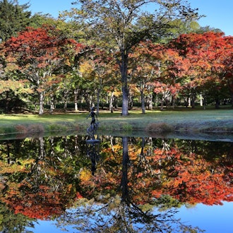 [Image1]Autumn foliage drive at the Pearl Skyline,A road connecting Nukahira Gensengo in Kamishoro Town Town