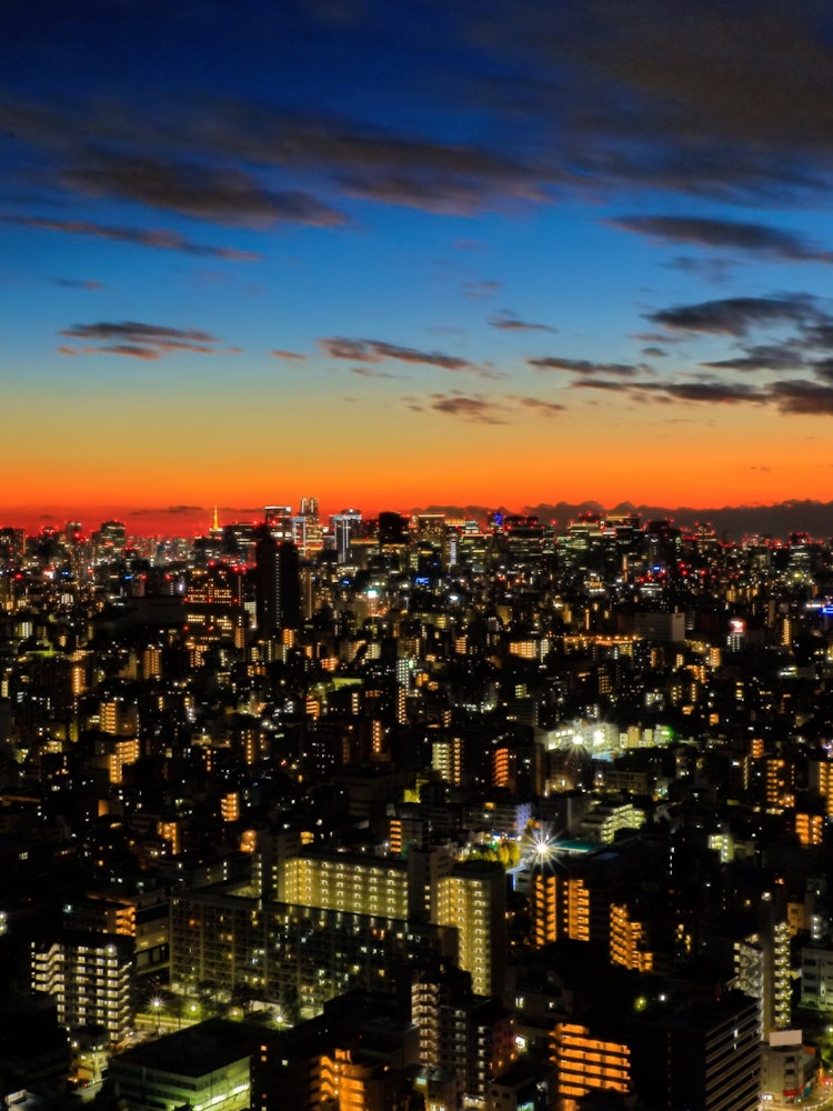 [相片1]我從晴空塔東塔向富士山方向眺望東京。東京是世界上最大的特大城市，超過了紐約，紐約在1955年之前一直是世界第一，此後一直保持著世界第一的位置。 在照片中心的右邊可以看到富士山，在左邊可以看到東京塔。