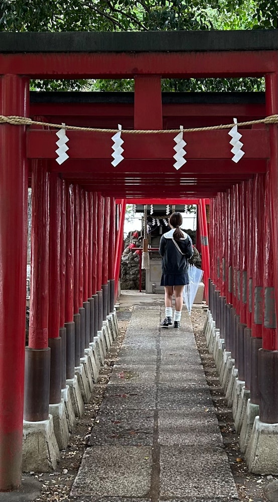 [画像1]東京新宿の花園神社の一角にあるお稲荷さん（威徳稲荷大明神）。 たまたま待ち合わせで人を待っている時に学生さんが御参りに来ました。真剣に御参りしてましたが、雨上がり何を祈念してたのかな