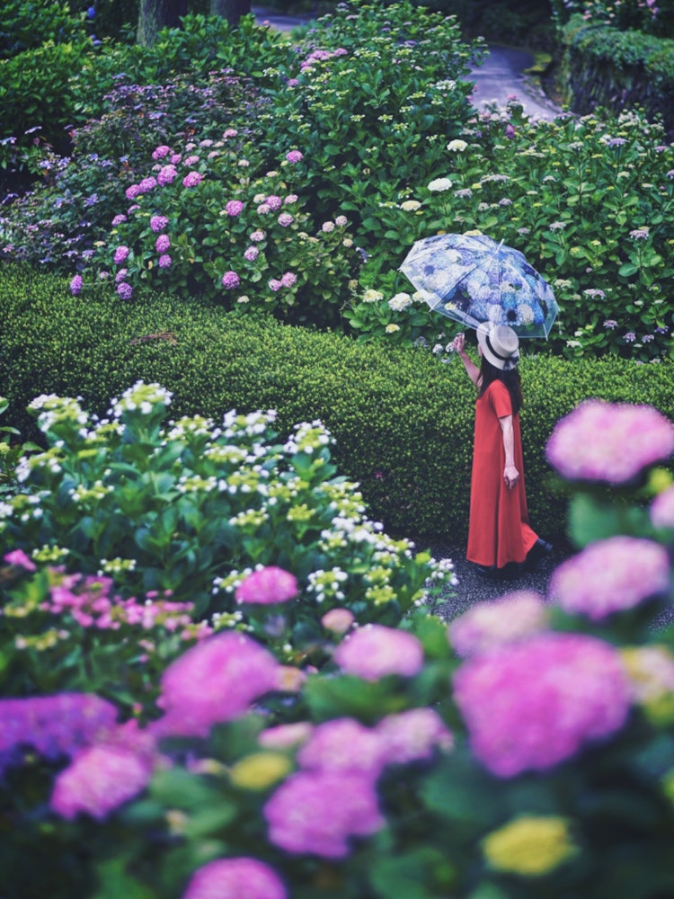 [Image1]Hiroshima Mihara Sankeien Garden(Hiroshima recommended spots)#Sankeien Garden 👈 @chuoshinrin_park To