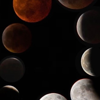 [Image1]Total lunar eclipse on November 8.It was a wonderful time to look up at the night sky while being fa