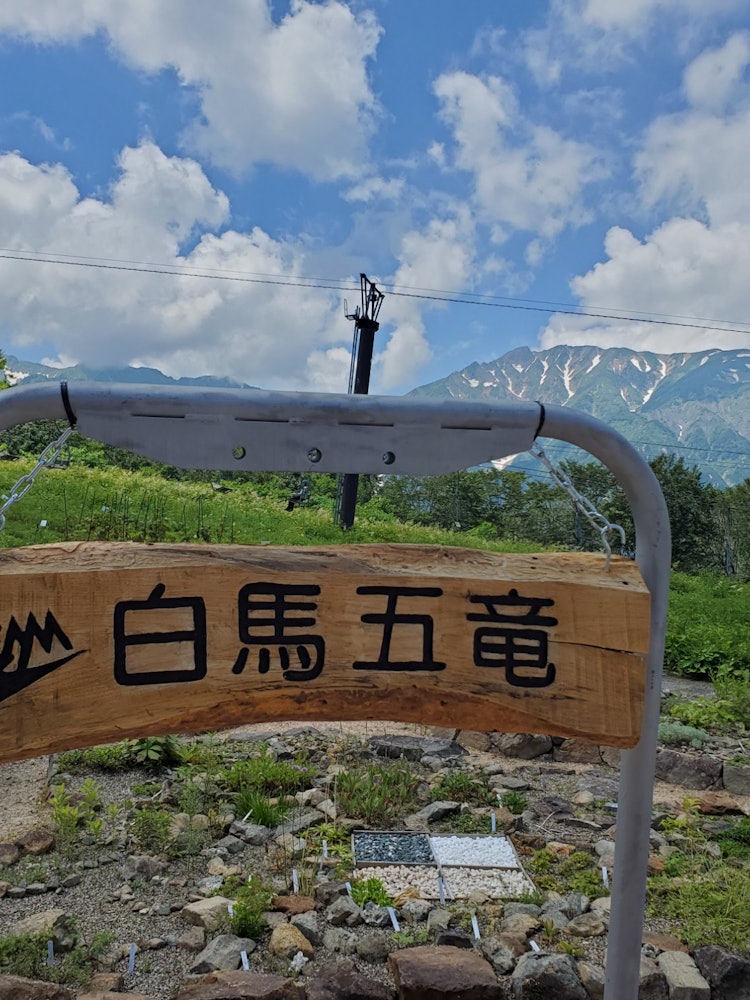 [Image1]Hakuba Goryu Alpine Botanical Garden, where you can see 🎵 blue poppy flowers, comakusa and shimotsuk