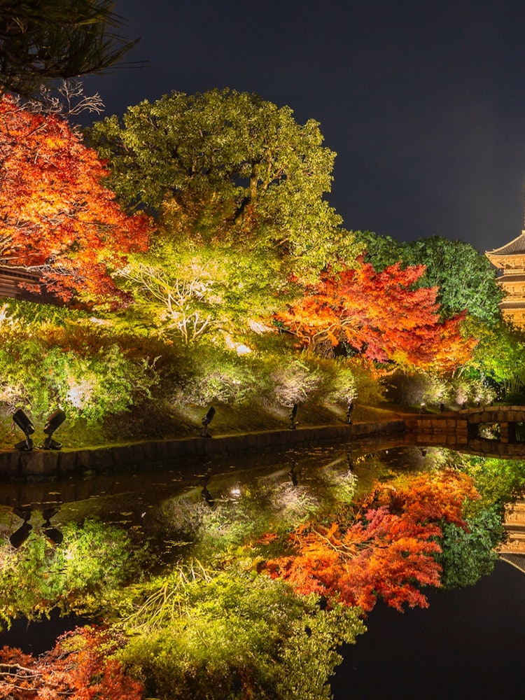 [画像1]秋の紅葉ライトアップしているお寺コロナ禍早く終わりますようにまた旅行行きたい所である京都ー以前撮影