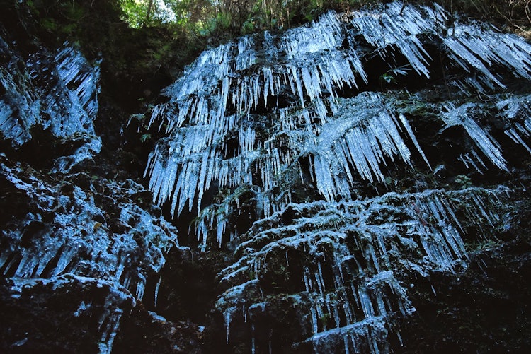 [相片1]這張照片是在和歌山縣葛城町的文藏瀑布拍攝的。 即使在寒冷的隆冬，也有人來到瀑布。