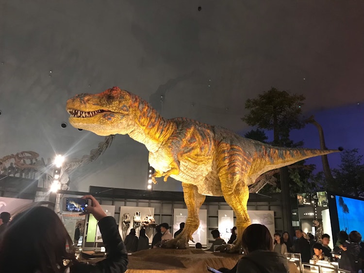 [相片1]福井縣立恐龍博物館當你進入並前進一段時間時，你面前有一隻巨大的暴龍！ ！！ 還有動靜和聲音！這是一個很棒的博物館😆，有許多恐龍，前寒武紀生物的模型，美麗的石頭等。