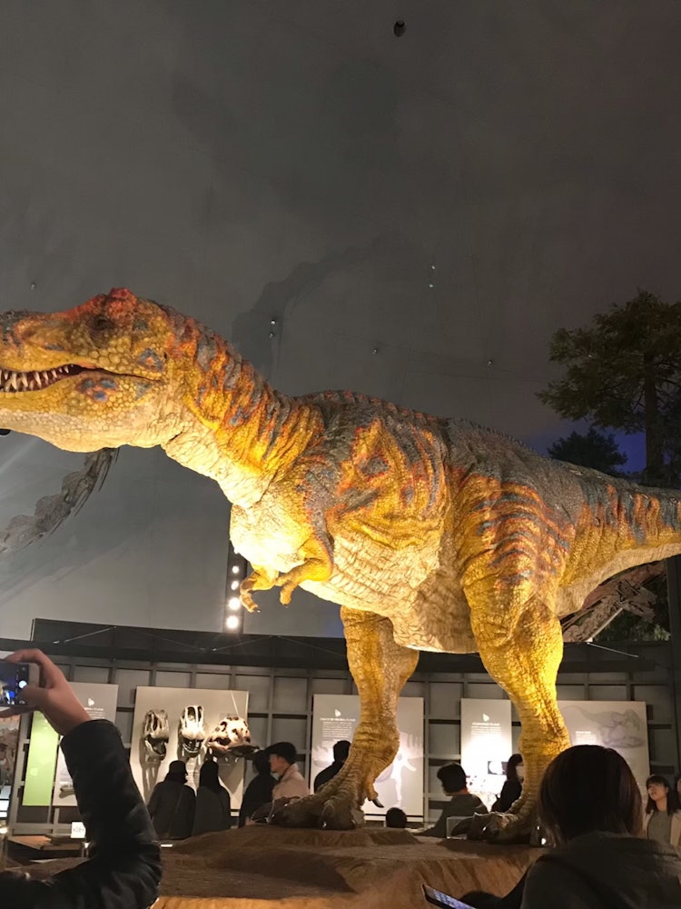 [画像1]福井県立恐竜博物館入って暫く進むと、目の前に大きなティラノサウルス！！ しかも動きと声もある！他にも沢山の恐竜や、先カンブリア時代の生き物の模型、美しい石など見どころあってすばらしい博物館です😆