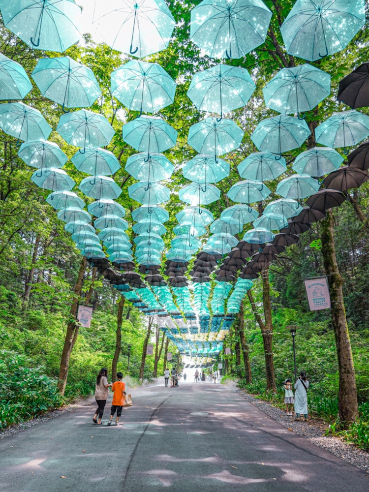 [Image1]Moominvalley Park in Saitama.In summer, umbrellas are hung to create fashionable roads!Photography e