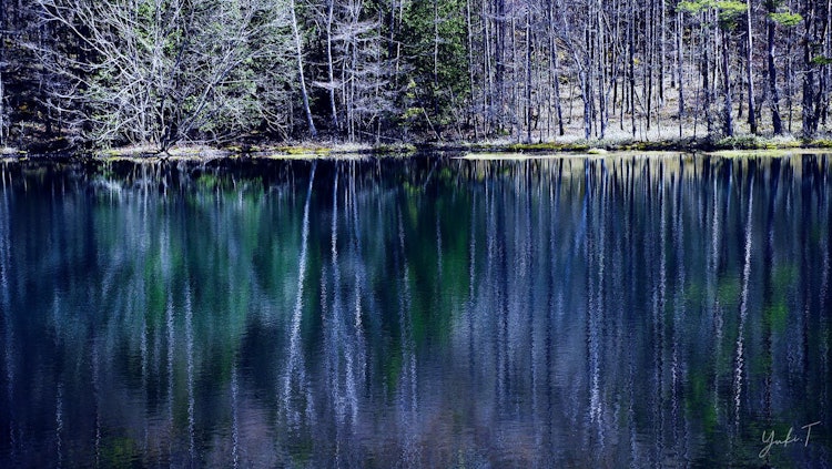 [Image1]Sky mirror reflecting trees on the surface of the waterMishakaike pond, which is still shallow in sp