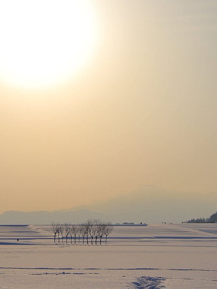 [Image1]Today's Ikegahara...Winter Ikegahara, first expedition. (^_^;)2023.02.18.Shooting.#Asahi #Sunrise #I