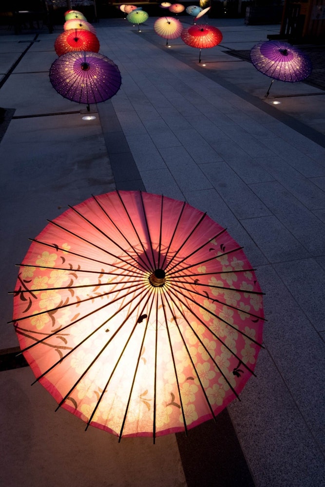 [相片1]冬季活动：神社的日本伞照明在进场时排成一排的日本雨伞是五颜六色的日本风光。地点：群马县前桥市前桥东照宫