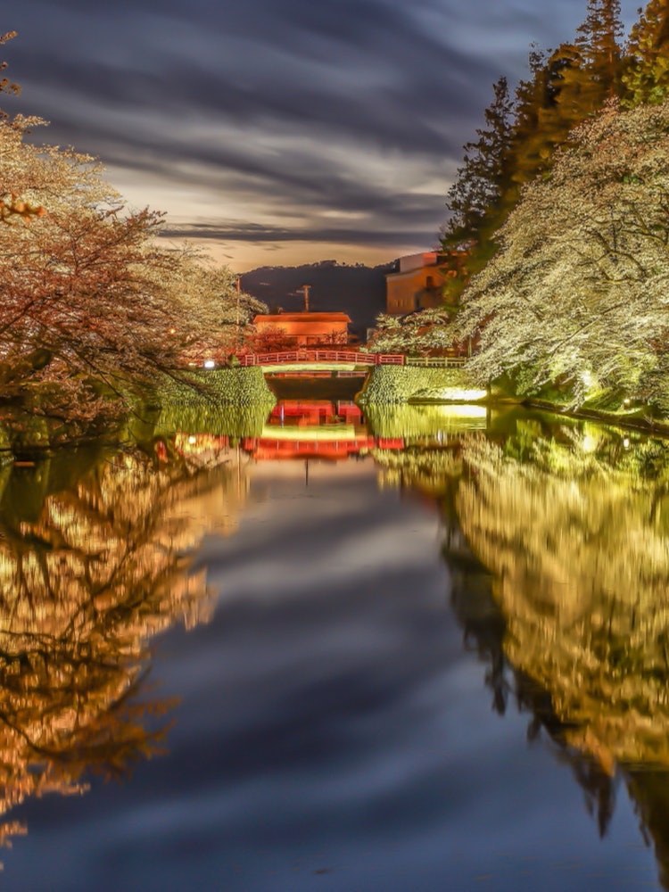 [Image1]Uesugi Shrine with beautiful illumination