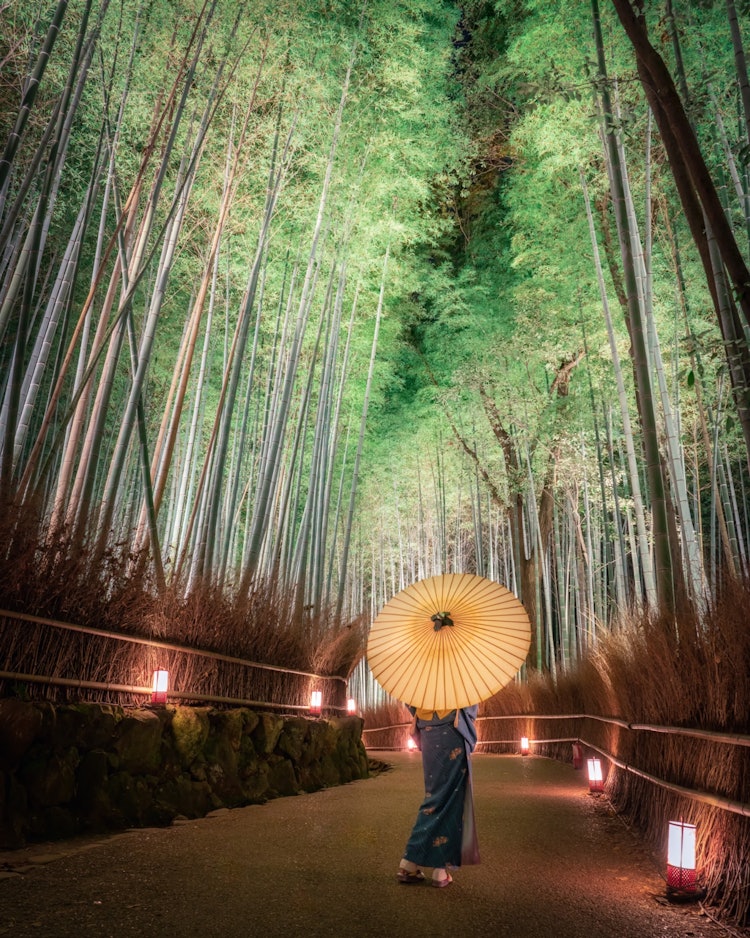 [Image1]A small path in the bamboo forest of Arashiyama, Saga, Kyoto Prefecture.During the period of the eve