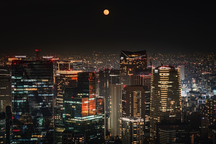 [相片1]月圓之夜。你看待東京的方式發生了變化。