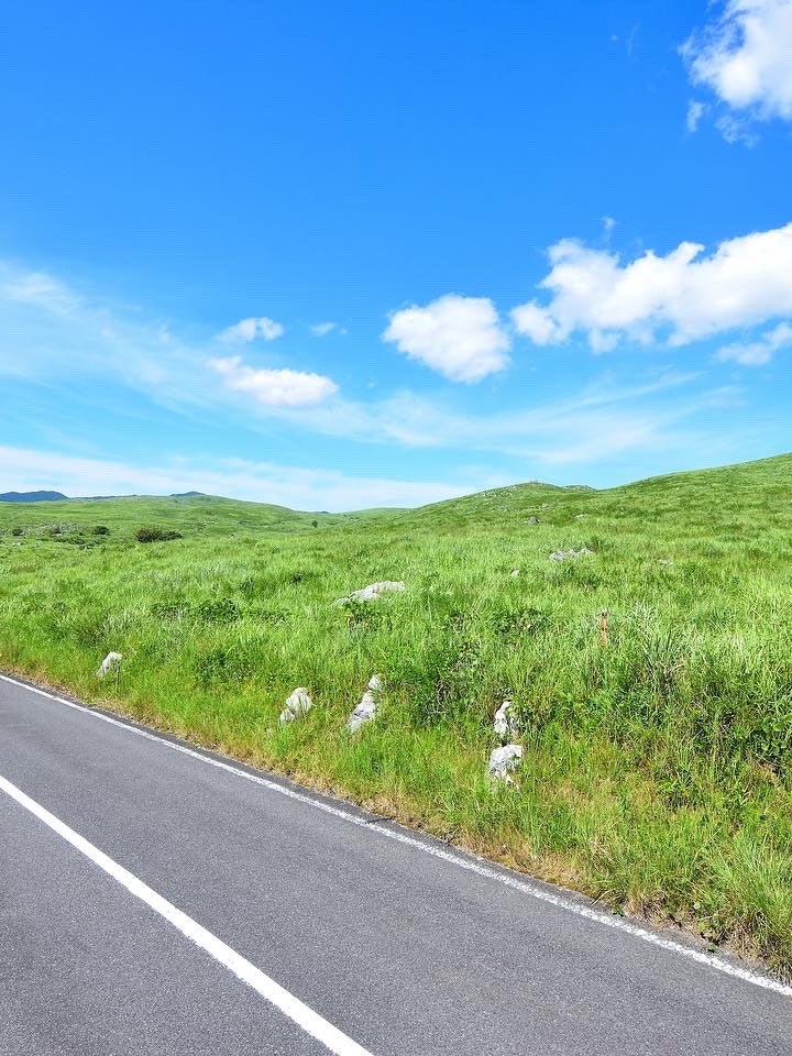 [Image1]📍 Yamaguchi/AkiyoshidaiIt is famous for its karst topography. There is also a special natural monume