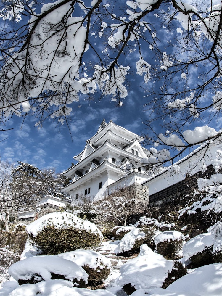 [相片1]郡上八幡城，柴凉太郎称之为“日本最美丽的山城”每个季节都是美好的。就我个人而言，我认为每年的这个时候，它被冬天的雪染成我认为它与白色城堡重叠真是太好了