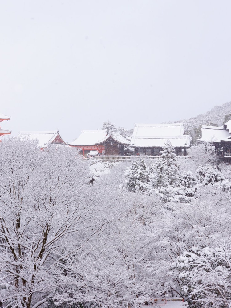 [Image1]A day of heavy snowfall once every few years. Both the stage of Shimizu and the vermilion tower were
