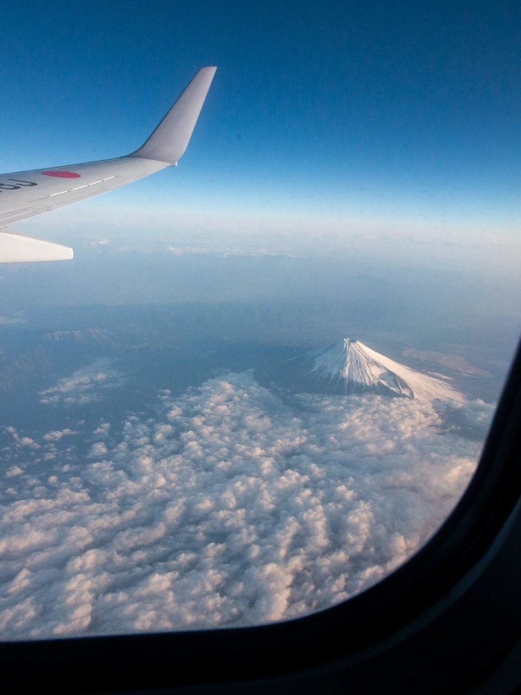 [画像1]羽田空港から九州方面へ向かう飛行機から撮影しました。 朝の光を受ける雲海が非常に美しかったです。