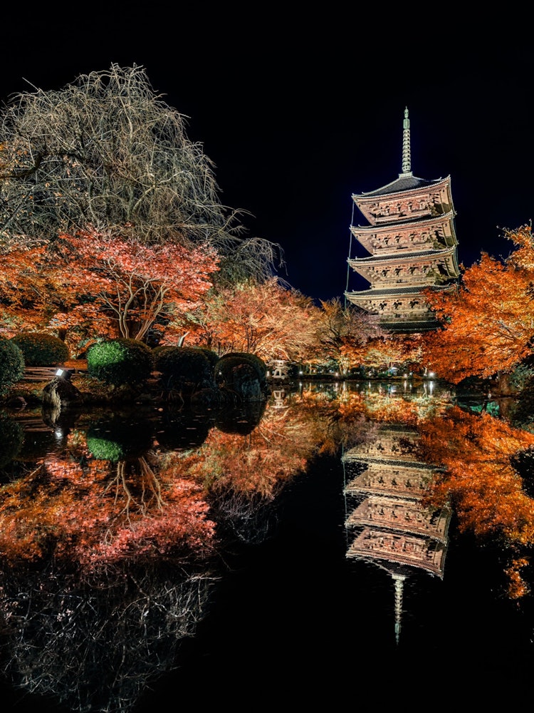 [Image1]【Toji Temple Light Up】It was a very beautiful light-up.Out of timeI couldn't take a slow pictureIt's
