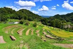 [Image2]Original scenery of JapanKamogawa City, Chiba Prefecture【Oyama Senmaida 🌾】It is the closest terraced