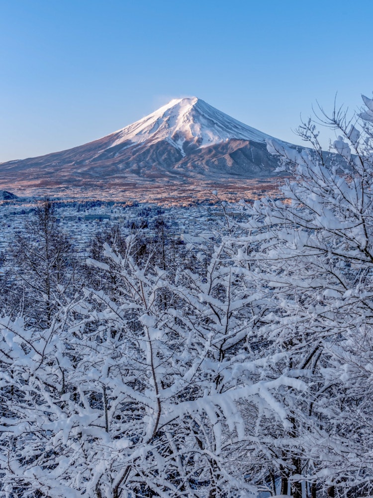 [相片1]被富士山的魅力所吸引