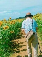 [Image1]Ikegami Sunflower ParkA ★ few years agoSummer dayI ★ managed to walk while with a caneSunflower fiel