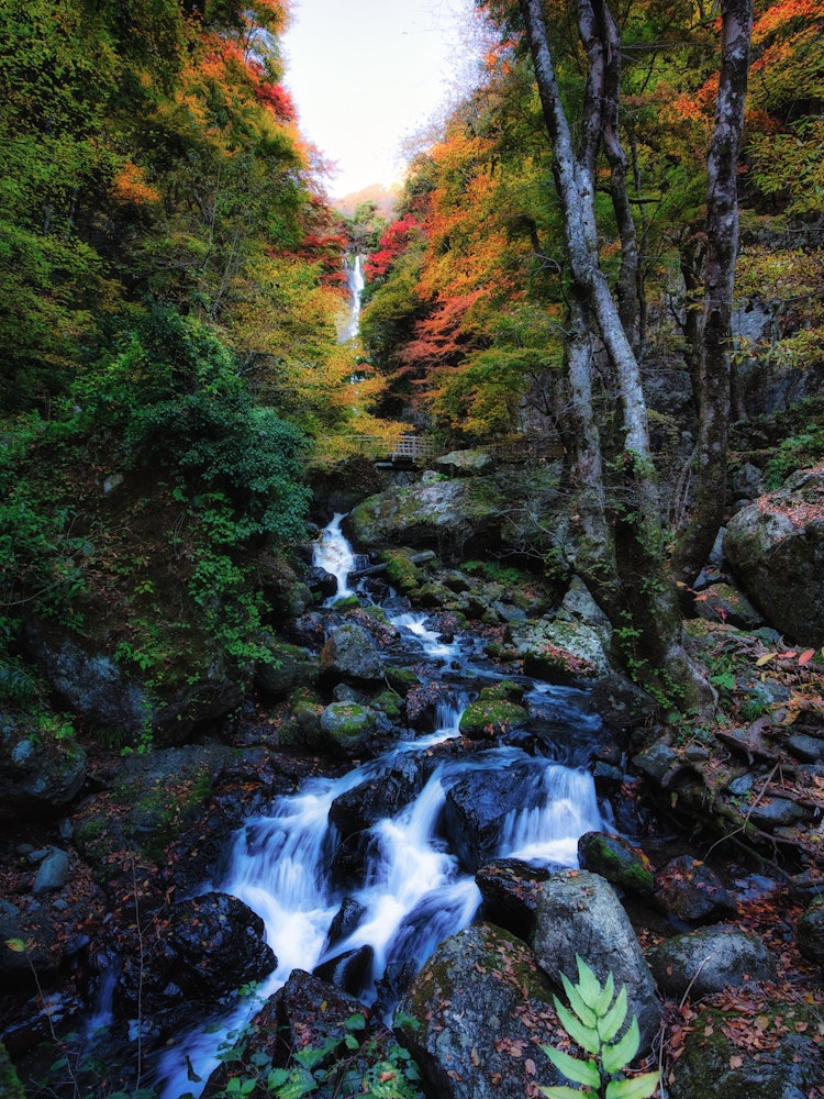 [相片1]日本的秋天秋天的真庭瀑布在冈山