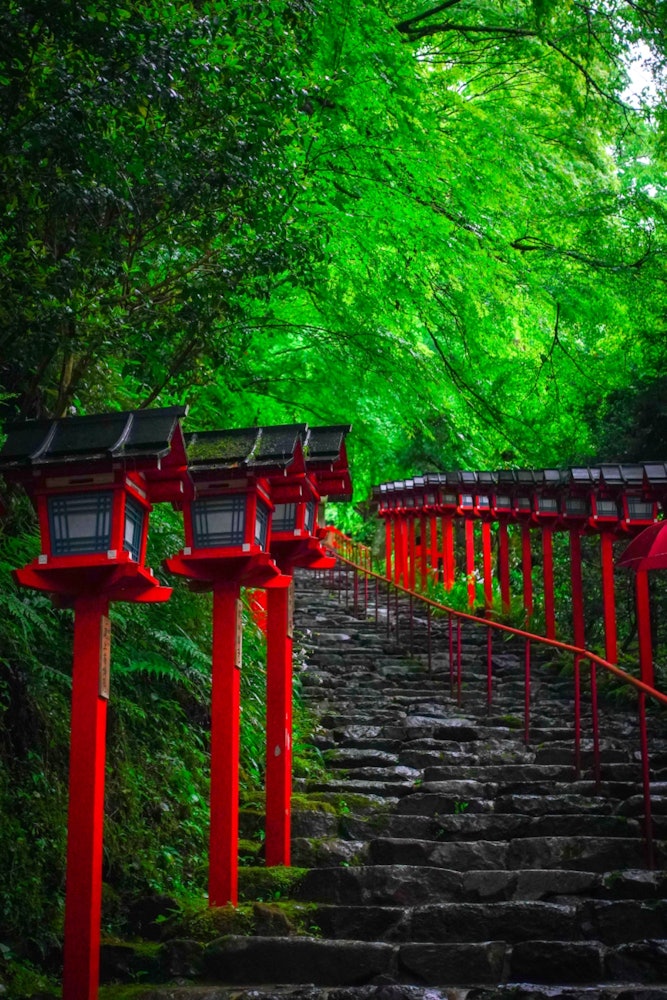 [相片1]我第一次去京都的貴船神社！還支援水算命數位，太神奇了！ w這裡的綠色植物生機勃勃，夏天看起來很棒✨。