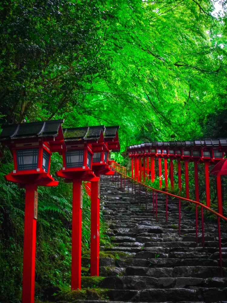 [相片1]我第一次去京都的贵船神社！还支持水算命数字，太神奇了！ w这里的绿色植物生机勃勃，夏天看起来很棒✨。