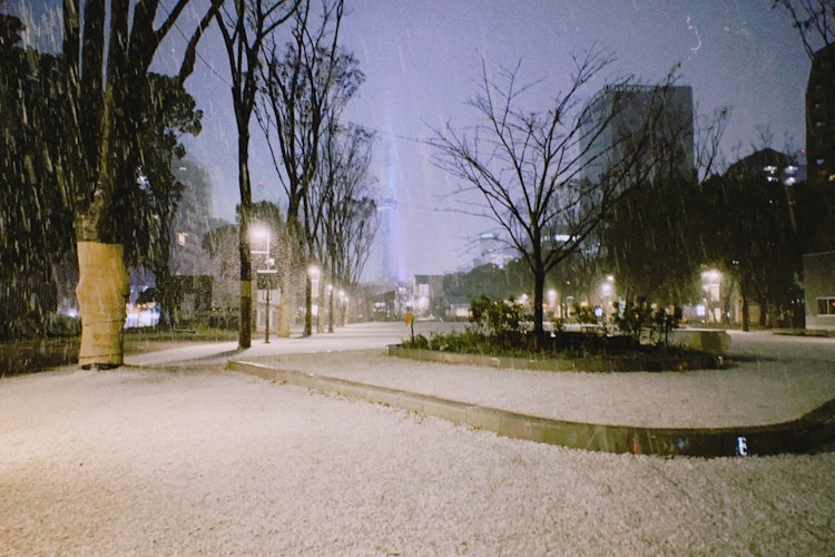 [Image1]Urban snow cover📍 Hisaya-Odori Park, Nagoya City, Aichi Prefecture