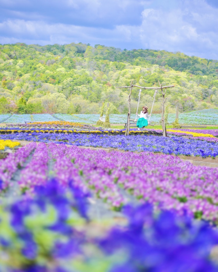 [이미지1]히로시마 세라 하나역 세라(히로시마의 추천 벚꽃 명소)#하나역 세라 👈 @hananoekisera 형형색색의 비올라가 사방에 퍼졌고 뒤쪽의 네모필라 밭은 매우 아름다웠습니다 😊.리