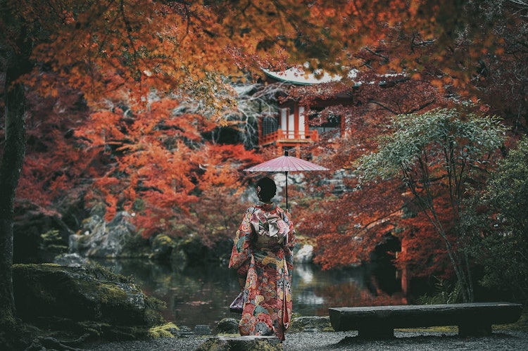 [画像1]去年撮影した京都の紅葉。今年も行きたいです。