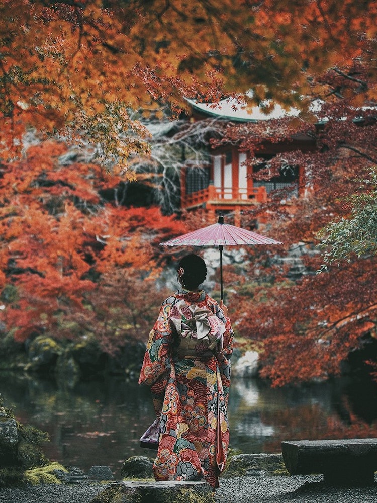 [画像1]去年撮影した京都の紅葉。今年も行きたいです。