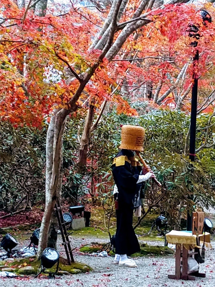 [相片1]這是他父親於2018年12月在奈良縣宇田市室寺拍攝的照片。我的父親是一個虛無主義的僧侶，他是我真正尊敬的父親。 我能夠用美麗的秋葉為我的父親拍一張莊嚴的照片，所以我會申請。