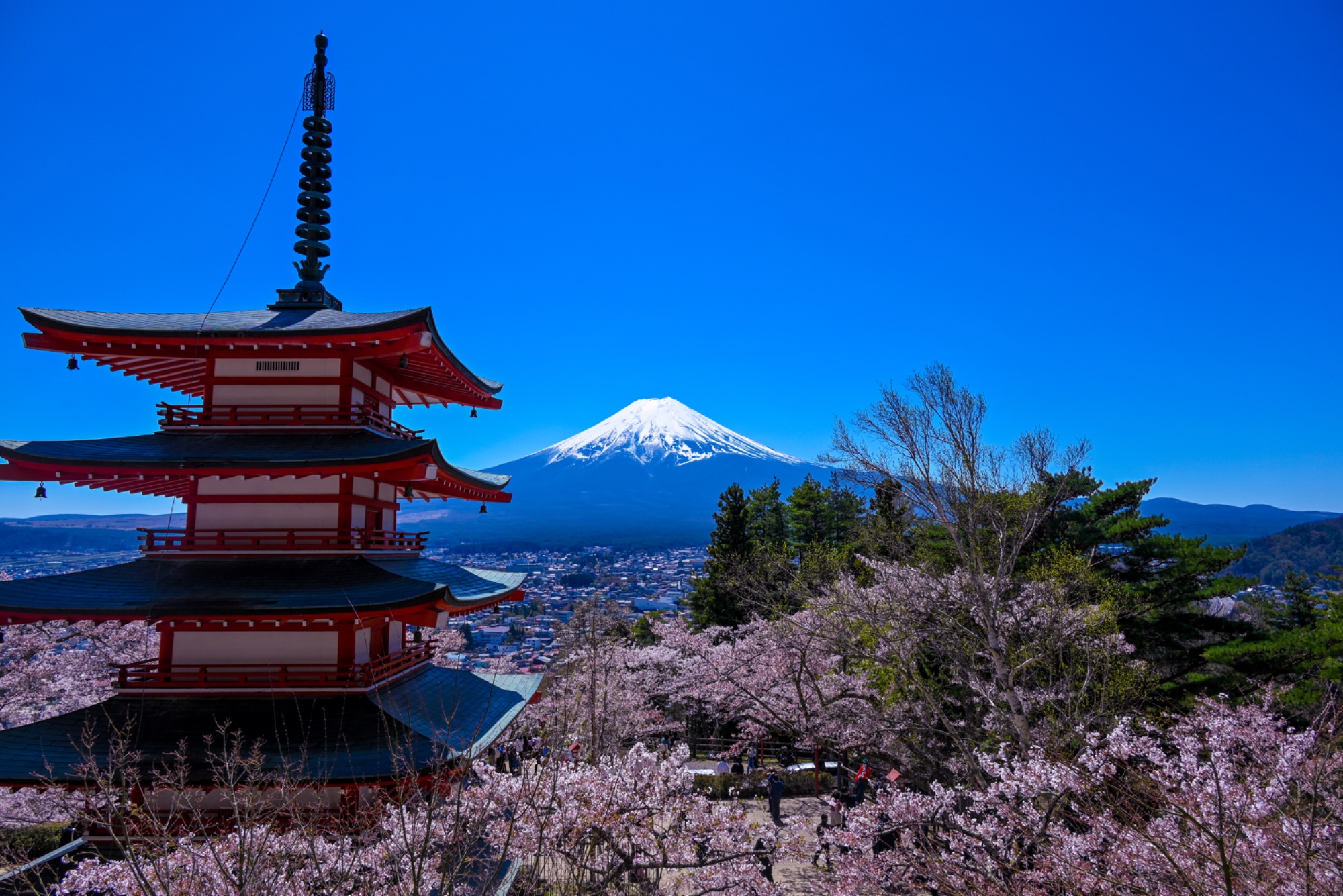 御影石 花 さくら 富士山 置物 - 美術品