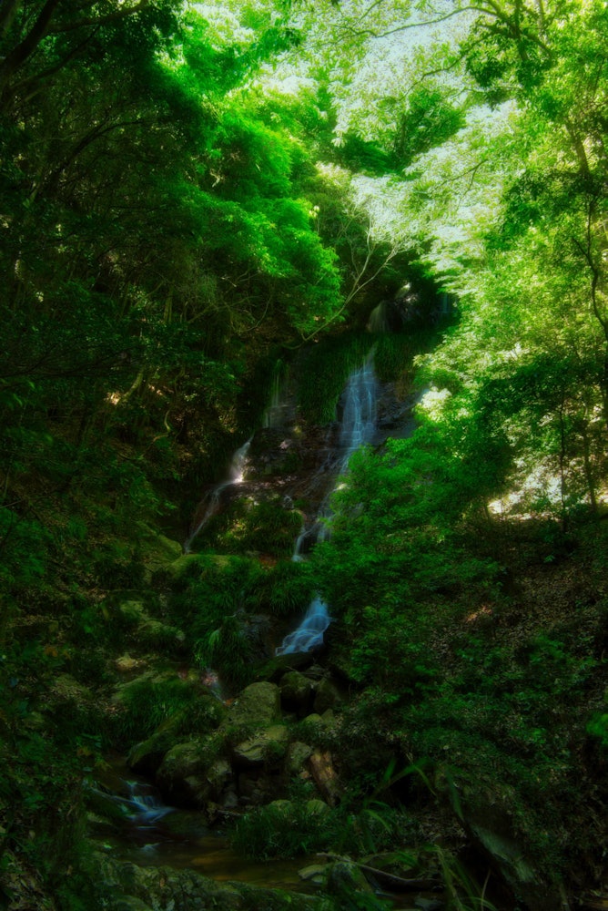 [相片1]它是冈山的台东瀑布。这是一个美丽的瀑布，在冈山一个隐藏的秘密地方维护得很好。下雨后，水量增加，您可以感受到负离子的力量。