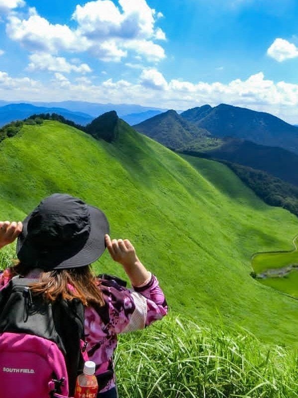 [相片1]索尼高原/奈良到处都是绿色植物的景色。 在过去的六年里，我每年夏天都在索尼高地徒步旅行。