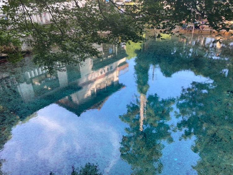 [相片1]📍 宮， 山口別府弁天池泉水⊿ 地理位置清澈湛藍的水是神秘美麗和高度透明的泉水，被選為日本100個最佳水之一。這是我第一次去泉水。透明度非常漂亮，相當漂亮。這個池塘裡有小魚在游泳，這是一個非常放鬆的地