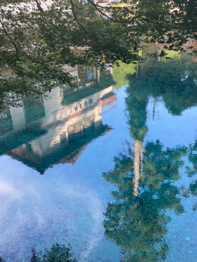 [画像1]📍山口県美弥市 別府弁天池湧水⊿ 場所紹介透き通ったブルーの水が不思議なほどの美しさの湧き水、透明度の高い水で、日本名水百選に選ばれています。湧水に行ったのは初めてで透明度がすごく、かなり綺麗でした。