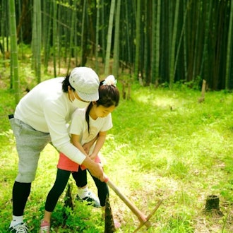 [Image1]◆2024 Picking bamboo shoots◆You can harvest 